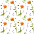 Hand drawn watercolor seamless pattern of calenula officinalis and lavender flowers.