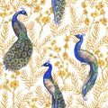 Hand drawn watercolor seamless pattern with Chinese peacocks and golden sakura plants Royalty Free Stock Photo