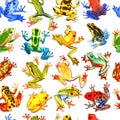 Hand drawn watercolor seamless pattern with colorful tree frogs. Stock illustration of tropical amphibians Royalty Free Stock Photo