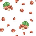 Hand-drawn watercolor seamless pattern with different hazelnuts on the white background