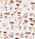 Hand-drawn watercolor seamless pattern of the different mushrooms Royalty Free Stock Photo