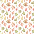 Hand drawn watercolor seamless pattern of fall orange, red and green leaves. Forest background. Hello Autumn! Perfect for seasonal