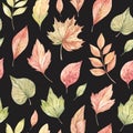 Hand drawn watercolor seamless pattern of fall orange, red and green leaves. Forest background. Hello Autumn! Perfect for seasonal