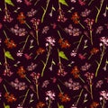 Hand drawn watercolor seamless pattern with field pink and red small flowers and herbs on a dark wine-colored background