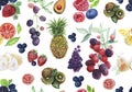 Hand-drawn watercolor seamless pattern with fruits. Fresh natural products separately on a white background.