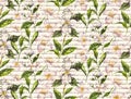 Hand-drawn watercolor seamless pattern with jasmine flowers and tea leaves on the white background Royalty Free Stock Photo