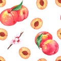 Hand-drawn watercolor seamless pattern with orange fresh peaches and flowers Royalty Free Stock Photo