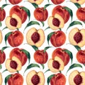 Hand drawn watercolor seamless pattern with peaches. Vintage fruit style. Botanical Illustration isolated on white. Design for