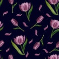 Hand drawn watercolor seamless tulips pattern on dark background