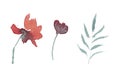 Hand drawn watercolor set of flowers and leaves Royalty Free Stock Photo