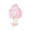 Hand-drawn watercolor shrub with lush pink foliage insulated on white.