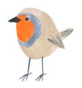 Hand drawn watercolor in simple style, Funny robin bird