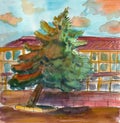 Hand drawn watercolor sketch. Green fir tree near the house. Sun set landscape. Urban sketch. Small town  street house. Fir tree i Royalty Free Stock Photo