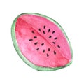 Hand drawn watercolor sliced juicy watermelon with brown seeds isolated on white background.
