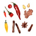 Hand drawn watercolor spices - cinnamon, chilli pepper, ginger, anise