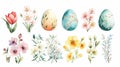 Hand drawn watercolor spring elements set with decorated Easter eggs, blossoming flowers and plants. Springtime wild Royalty Free Stock Photo