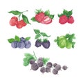 Hand drawn watercolor spring illustration set of berries isolated on white background. Can be used for cards, label and other Royalty Free Stock Photo