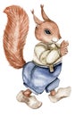 Hand drawn watercolor squirrel.