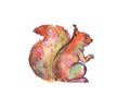 Hand drawn watercolor squirrel. watercolour illustration