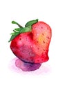 Hand drawn watercolor strawberry isolated on white background