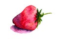 Hand drawn watercolor strawberry isolated on white background