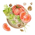 Hand drawn watercolor tomato vegetable, coriander parsley herb, nuts diet and healthy lifestyle, salad vegan cooking