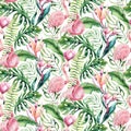 Hand drawn watercolor tropical bird flamingo seamless pattern . Exotic rose bird illustrations, jungle tree, brazil
