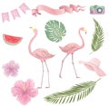 Hand drawn watercolor tropical birds set of flamingo. Exotic rose bird illustrations, jungle tree, brazil trendy art. Perfect for Royalty Free Stock Photo