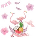 Hand drawn watercolor tropical birds set of flamingo. Exotic rose bird illustrations, jungle tree, brazil trendy art. Perfect for Royalty Free Stock Photo
