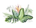 Hand drawn watercolor tropical flower bouquet composition. Exotic palm leaves, jungle tree, brazil tropic botany Royalty Free Stock Photo