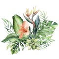 Hand drawn watercolor tropical flower bouquet composition. Exotic palm leaves, jungle tree, brazil tropic botany Royalty Free Stock Photo