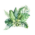 Hand drawn watercolor tropical flower bouquets. Exotic palm leaves, jungle tree, brazil tropic botany elements and Royalty Free Stock Photo