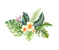Hand drawn watercolor tropical flower bouquets. Exotic palm leaves, jungle tree, brazil tropic botany elements and Royalty Free Stock Photo