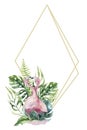 Hand drawn watercolor tropical gold florariums with flamingo. Exotic florarium frame illustrations for text, jungle