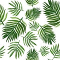 Hand drawn watercolor tropical plants set exotic leaves hand draw Royalty Free Stock Photo