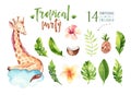 Hand drawn watercolor tropical plants set. Exotic palm leaves, j Royalty Free Stock Photo