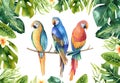 Hand drawn watercolor tropical plants set and parrot. Exotic pa Royalty Free Stock Photo