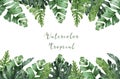 Hand drawn watercolor tropical banner with jungle leaves. Exotic leaves illustrations horizontal frame, jungle tree, brazil trendy