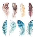 Hand drawn watercolor vibrant feather set. Boho style. illustration isolated on white. Bird fly feathers design for