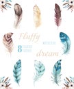 Hand drawn watercolor vibrant feather set. Boho style. illustration isolated on white. Bird fly feathers design for