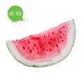 Hand drawn watercolor watermelon slice. Isolated on white background fruit illustration. Royalty Free Stock Photo