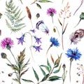 Hand drawn watercolor wildflowers