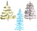 Hand Drawn watercolor winter trees Illustration for card making, paper, textile, printing, packaging