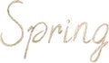 Hand Drawn Watercolor The Word Spring Written in Rope