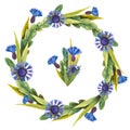 Hand drawn watercolor wreath made of meadow wildflowers: blue cornflowers, wild field herbs isolated on white. Royalty Free Stock Photo