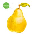 Hand drawn watercolor yellow pear with leaf. Isolated on white background fruit illustration. Royalty Free Stock Photo