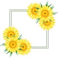 Hand drawn watercolor yellow sunflower border frame isolated on white background. Can be used for invitation, postcard, poster,