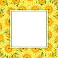 Hand drawn watercolor yellow sunflower border frame isolated on white background. Can be used for invitation, postcard, poster,