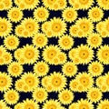 Hand drawn watercolor yellow sunflower seamless pattern isolated on black background. Can be used for Gift-wrapping, textile,