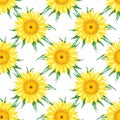 Hand drawn watercolor yellow sunflower seamless pattern isolated on white background. Can be used for Gift-wrapping, textile,